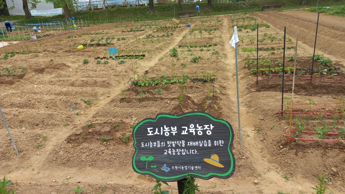 시민농장의 텃밭 봄의 풍경