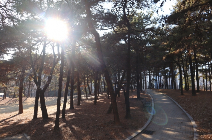 고양이의 산책 사진은 원하지 않으셔서 담을 수 없었지만 잠시 나눴던 이야기가 따뜻하게 남았다.