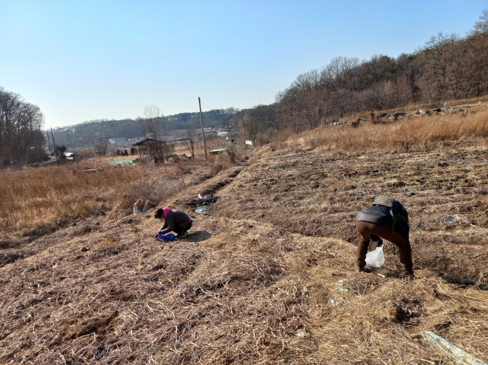 나물 깨는 아낙네 봄 풍경