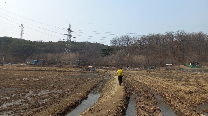 개우리 알을 낳을 논둑길 개울 풍경