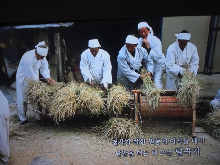 와롱 홀태로 바슴을하는 일꾼들