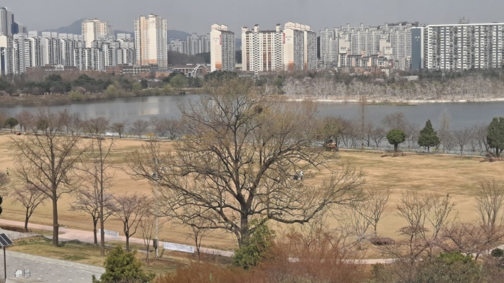 식목하기전 서호잔디공원과 서호공원