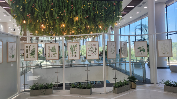 방문자센터 1층에 일월수목원 개원기념 식물세밀화 전시 관람