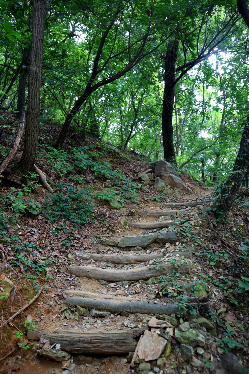 계단, 테크, 돌산이 어우러져 심심하지 않은 산책로가 조성되어 있다.
