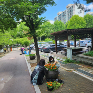 초화식재활동 모습