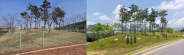 시 진입부 대로변 녹지 정원조성 전,후 사진