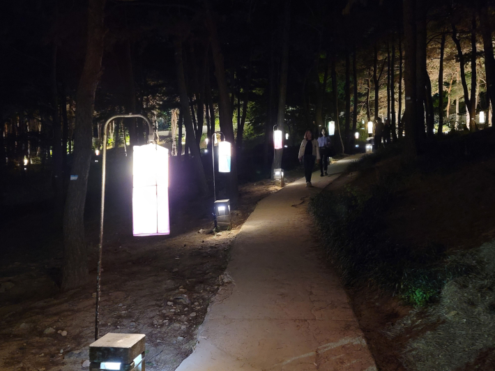 숲길 산책로 반딧불 LED와 청사초롱이 빛을 낸다.