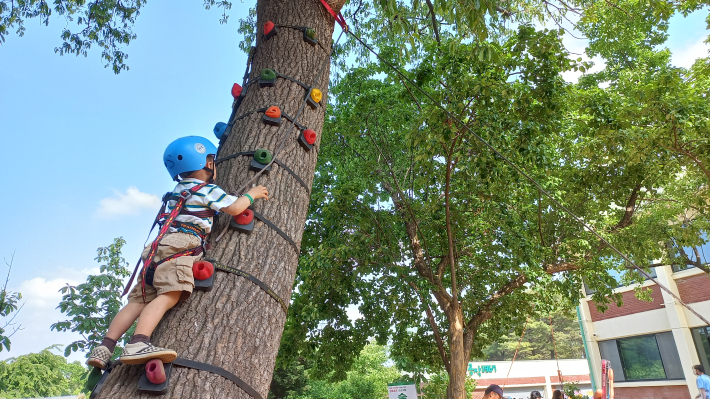 어린이가 큰 나무나무에 올라가는 전경
