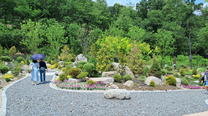 암석원- 크고 작은 돌과 함께 건조에 강한 식물, 침엽수 등을 심어 이색적인 경관을 연출한 정원