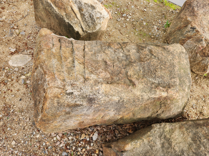 수원화성박물관 야외전시장에 있는 수원화성 성돌, 돌의 뒤 뿌리가 긴 모습을 볼 수 있다.