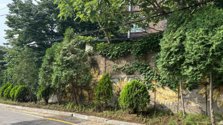 경기남부경찰청 별관 옆 골목 정원(조원동 441-5)