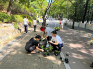 온정나눔 문화거리 환경정비 