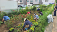 지난 24일 평동마을만들기협의회가 정원 정비를 실시하고 있다.