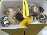 제주동백 쿠키 후원