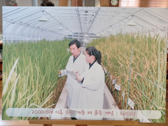 2000년대 들어서는 급변하는 쌀 산업 환경에서 대응하기 위해 최고 품질의 벼 품종 개발이 이루어졌다. 
