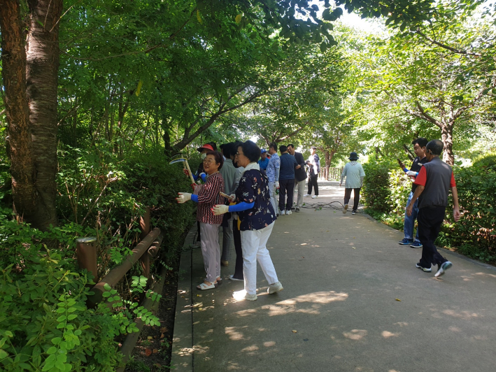 생태교란식물 줄기를 열심히 제거하고 있는 송죽동 주민들