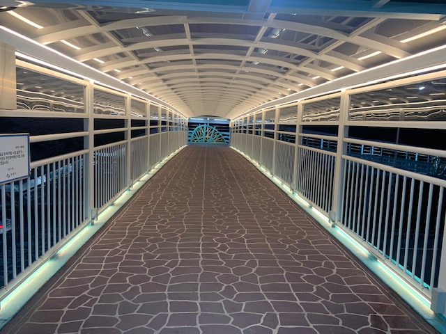 효정육교 조명시설 개선 후 사진