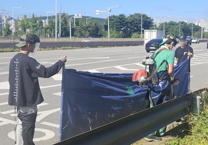 깨끗한 거리환경 조성을 위하여 제초작업으로 구슬땀을 흘리고 있다.
