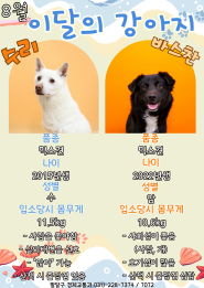 이달의 강아지(8월)