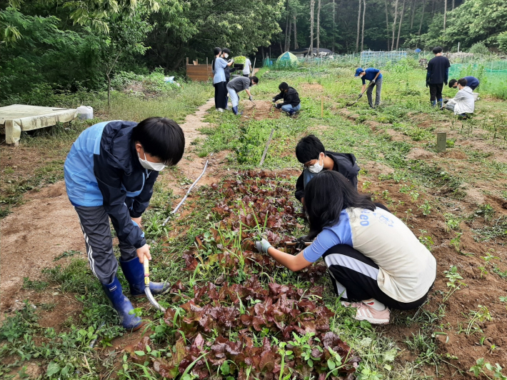 채소를 재배하며 자연과 친해지는  친환경 체험 학습