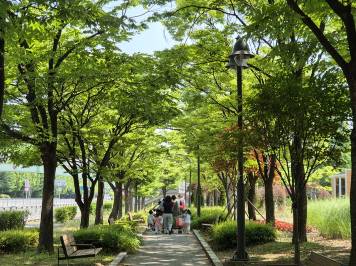 나무 그늘 아래 여름 소풍을 즐기기에도 좋은 곳 '권선늘푸른공원'