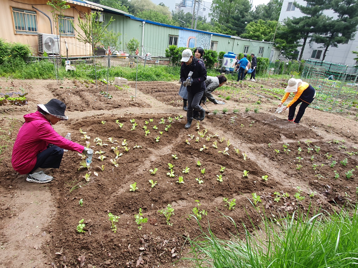 채소를 심고 텃밭에 물을 주고 있는 교육생들