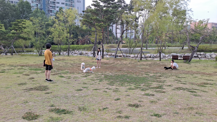 대유평공원의 반려견과 그 보호자들