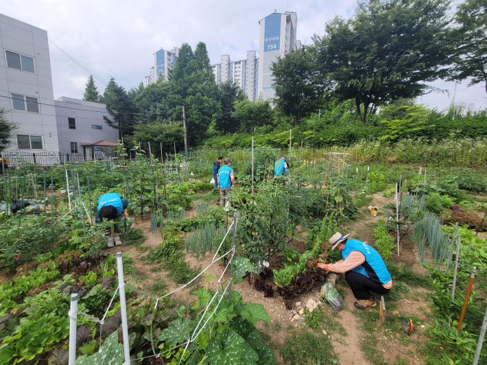 시민의 힘으로 만든 '서호천 시민생태농장'