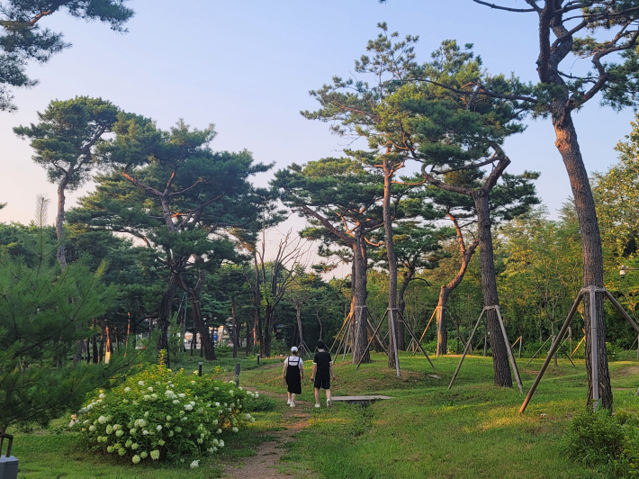 소나무숲으로 유명한 노송숲, 일상생활에 지친 시민들에게 최고의 힐링장소