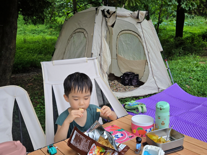 잔디밭 나무 아래에서 캠크닉을 즐기고 있다.