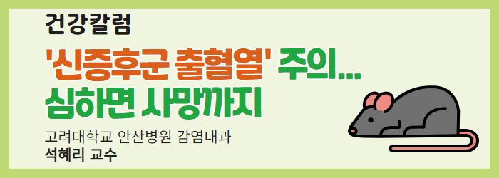 [건강칼럼] '신증후군 출혈열' 주의... 심하면 사망까지