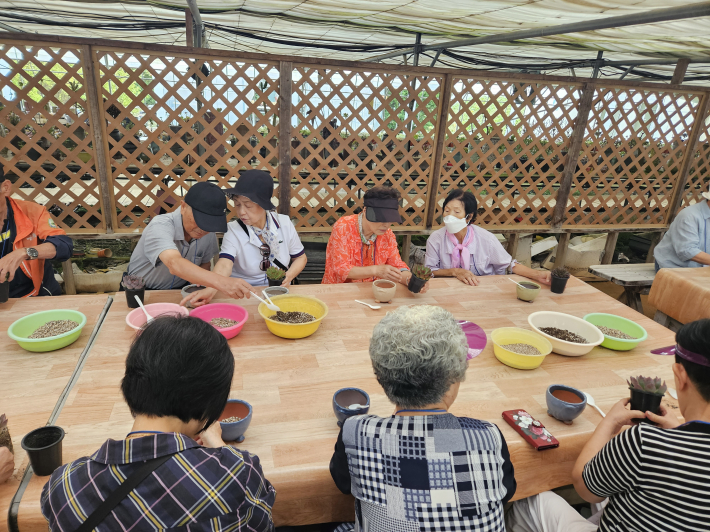 나들이 참여 어르신들이 대아농원에서 다육이 체험을 진행하고 있다.