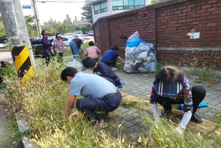 [서둔동] 추석맞이 대청소 및 제초작업 실시