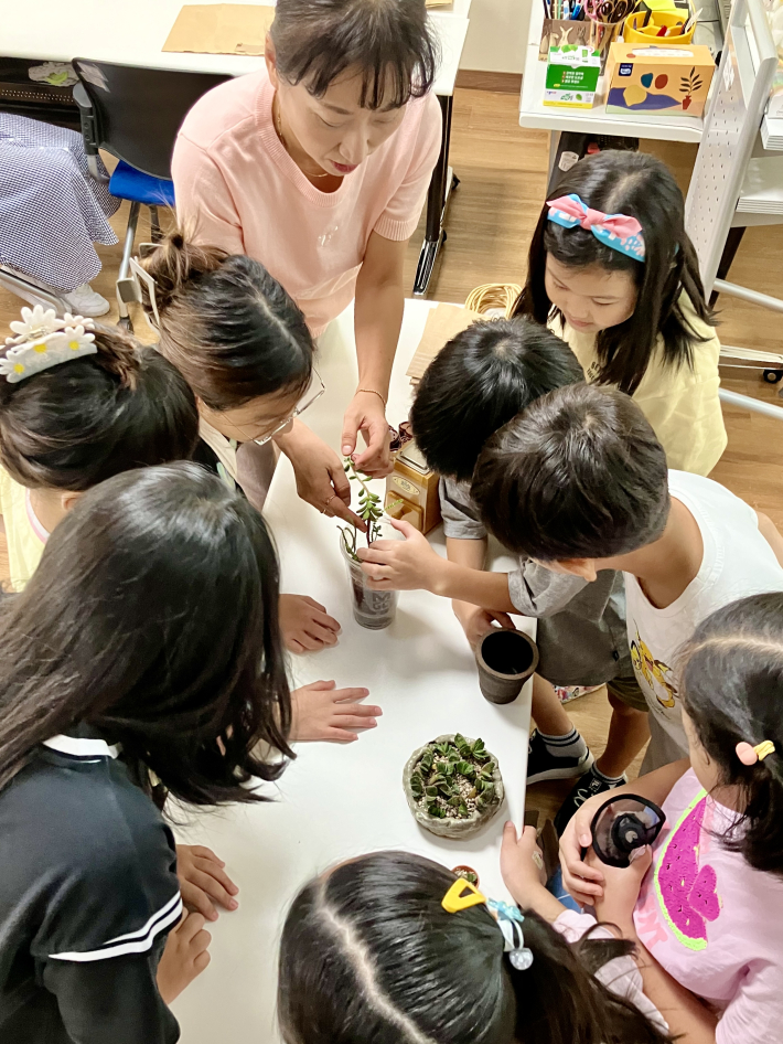 플라스틱 커피박을 활용해 다육식물 화분을 만들고 있다.