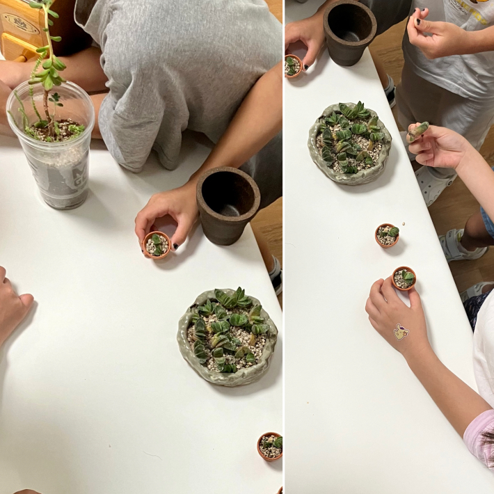 아이들이 만드는 다육식물 화분