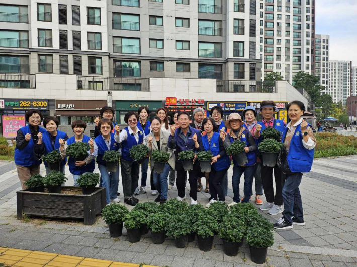 고등동바르게살기운동위원회 국화 식재 사진