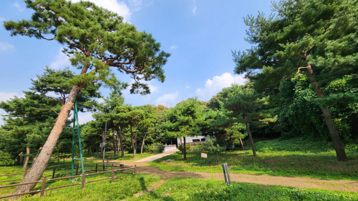 수원의 아름다운 도시숲으로 손꼽히는 노송숲.