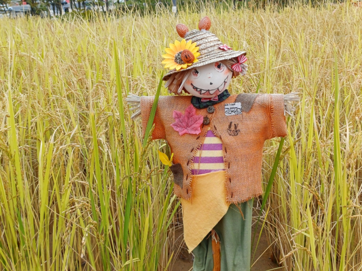 포토존 허수아비 풍경  