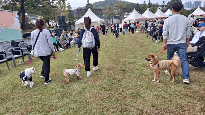 반려견과 함께 산책하는 실습