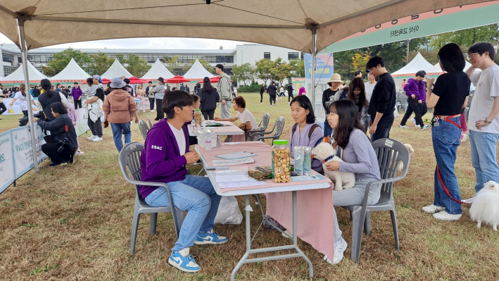 반려동물 행동상담 