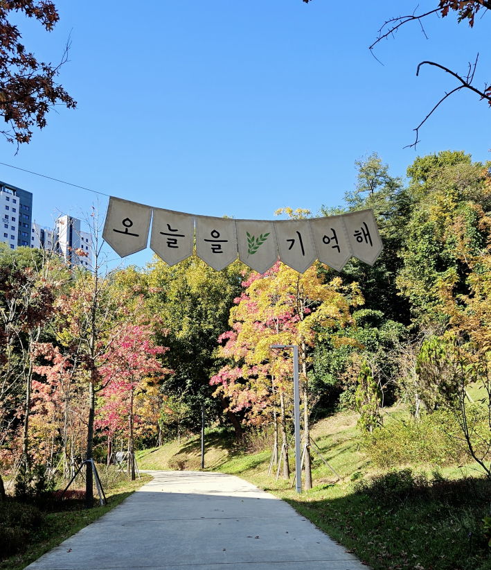 영흥 수목원 산책길 