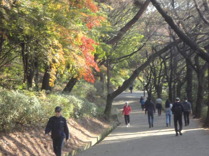 낙엽지는 늦가을 단풍길을 걷는 시민들