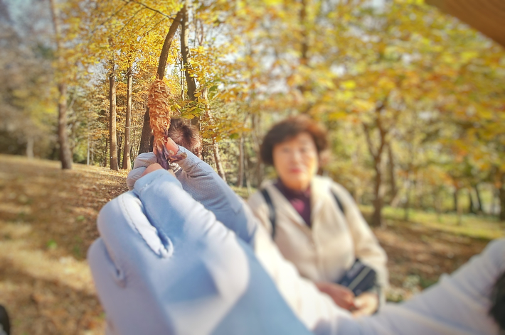 청설모가 남긴 솔방울의 모습.