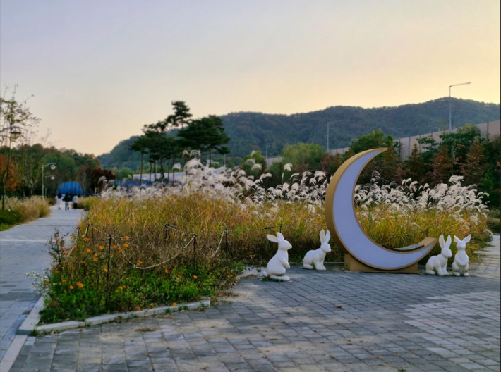 동네 공원에서 억새를 보는 경험도 멋지다. 억새가 가을볕 아래 옅은 빛으로 흔들리며 마음을 유혹하는 모습도 아름답다.   