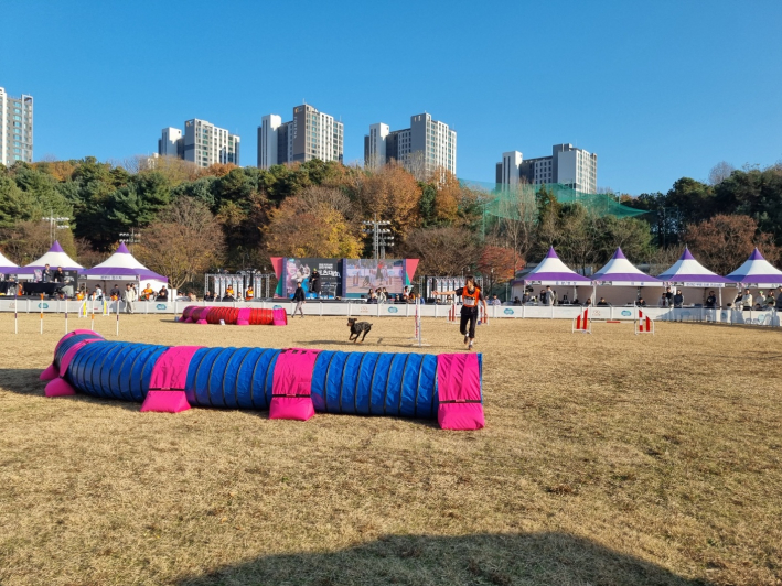 거침없이 질주하는 반려견과 보호자와의 상호 협력 경기