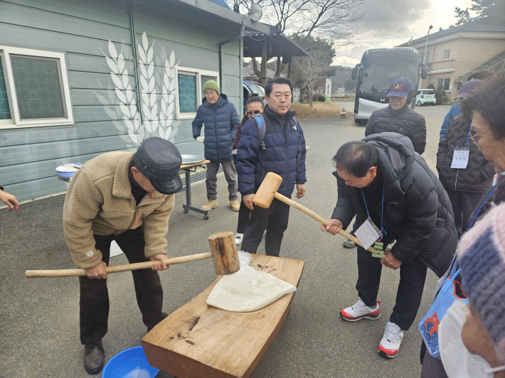 떡 메치기 체험이 한창이다.