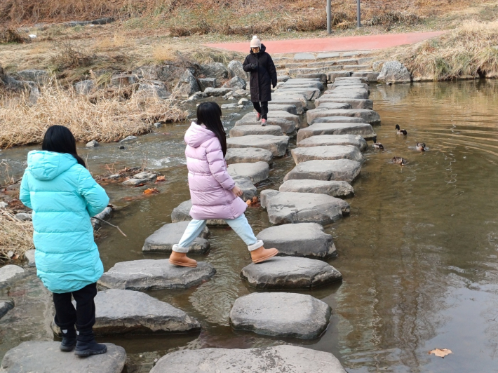 서호천 징검다리 풍경