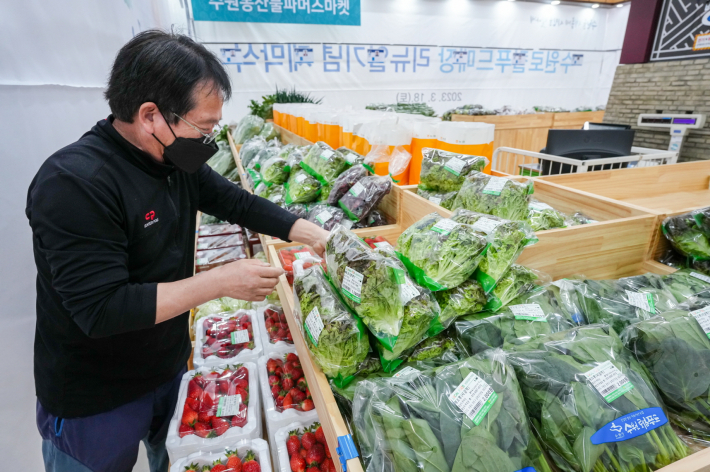 질 좋은 지역 농산물을 유통하는 수원로컬푸드직매장에서 상품을 손질하고 있는 모습