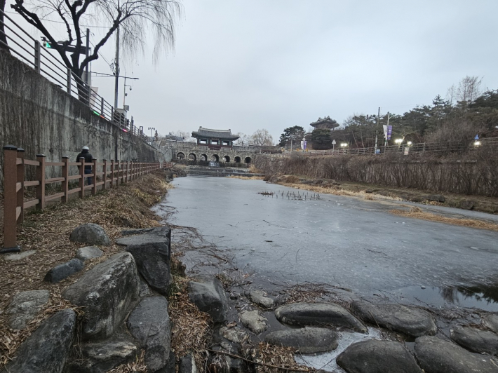 수원천은 생명의 보고다. 다양한 새들이 삶의 터전으로 삶고 있을 만큼 수질도 깨끗하고 물고기도 많다.