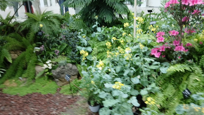 나비의 안식처인 햇빛정원